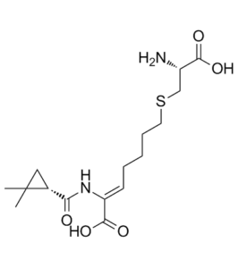 CILASTATIN 82009-34-5